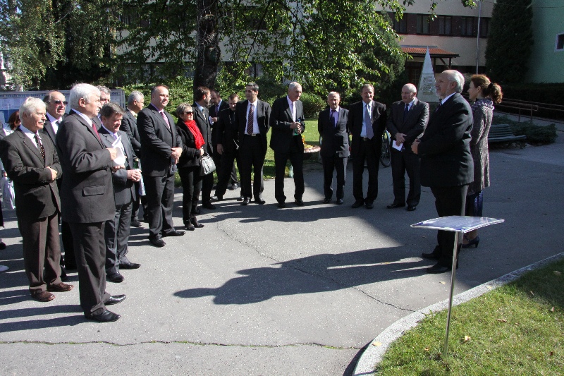 Fotogaléria Poliatie lipy sútokov sveta (21.9.2012) (7) Poliatie lipy sútokov sveta (21.9.2012)