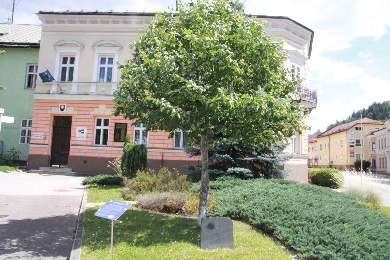 Fotogaléria Poliatie lipy sútokov sveta (3.7.2017) (7) Poliatie lipy sútokov sveta (3.7.2017)