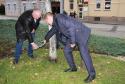 Poliatie lipy sútokov sveta Poliatie lipy sútokov sveta