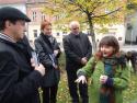Poliatie lipy sútokov sveta Poliatie lipy sútokov sveta